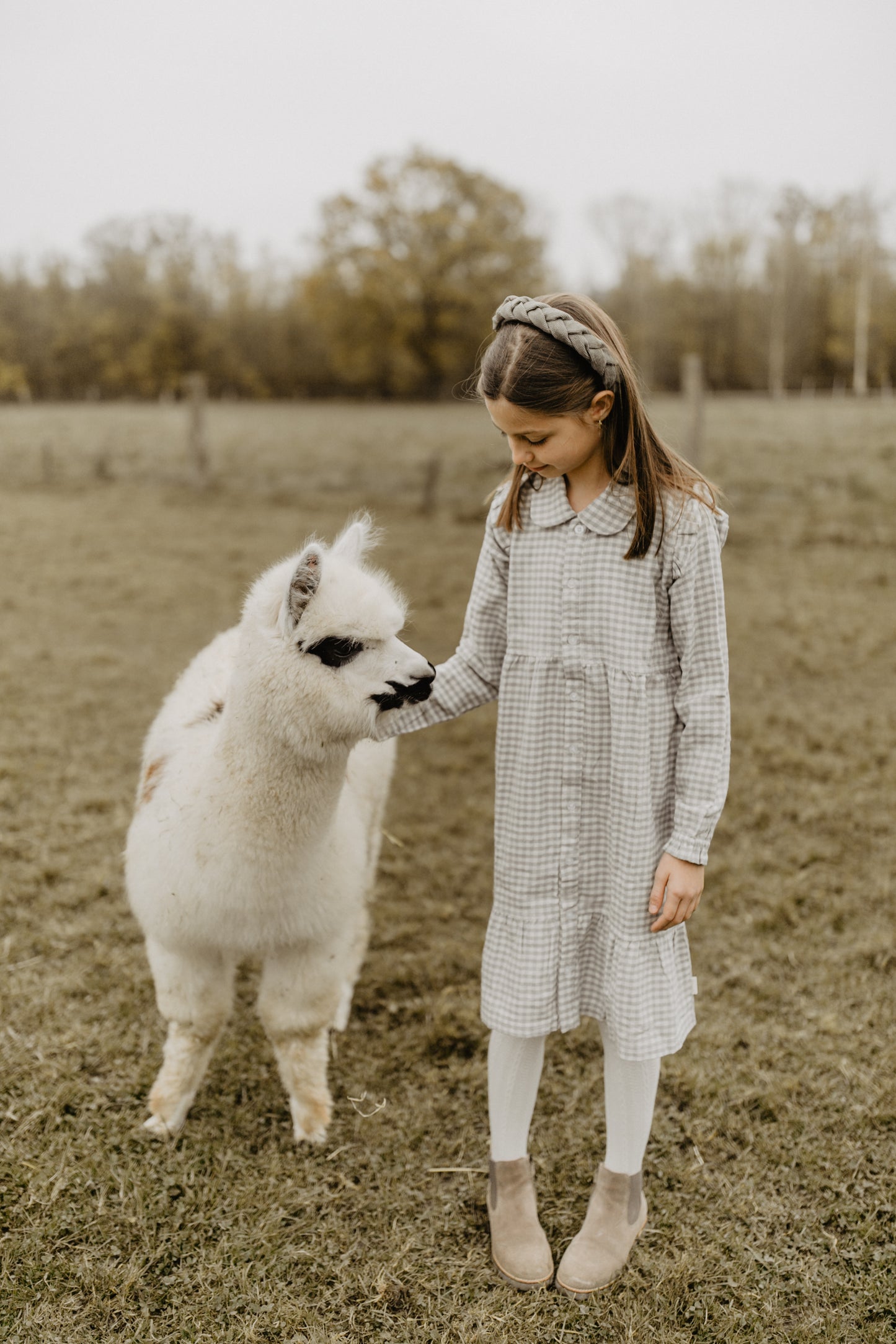 Kariertes Flanellkleid green mit Knopfleiste - green gingham