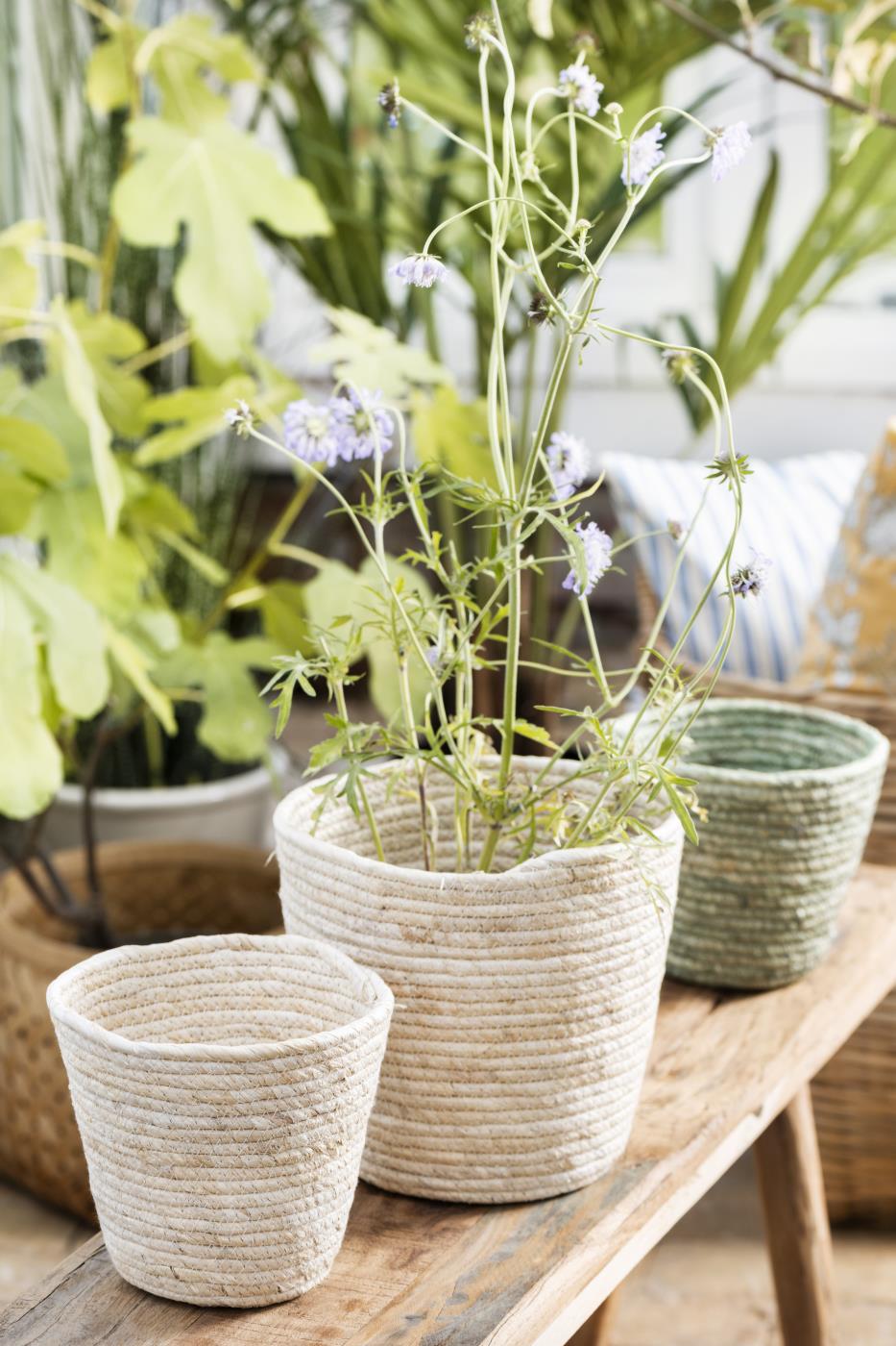 Blumentopf/Korb creme