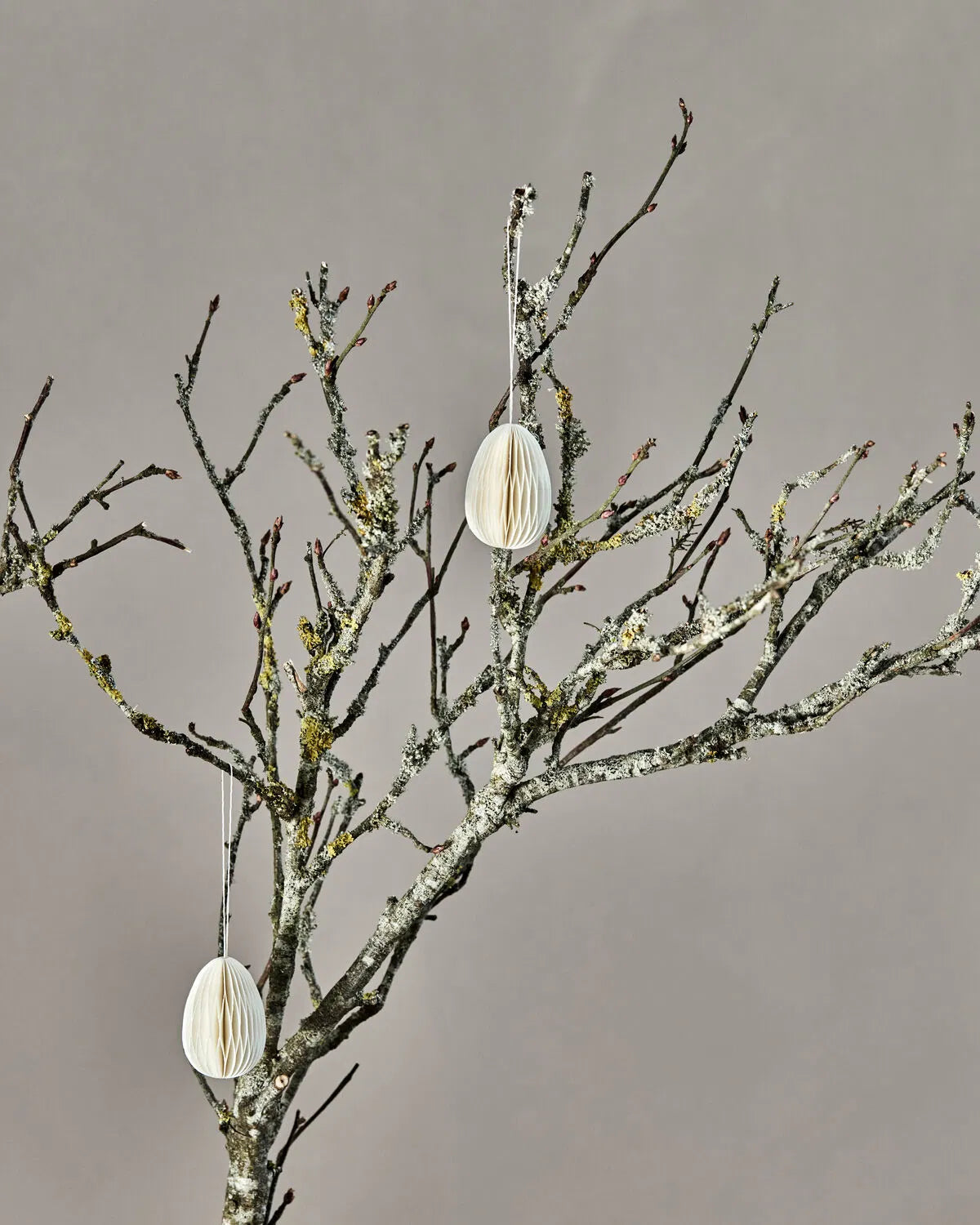 Papier-Ostereier | Wabe