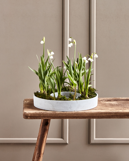 The Ring | Housedoctor