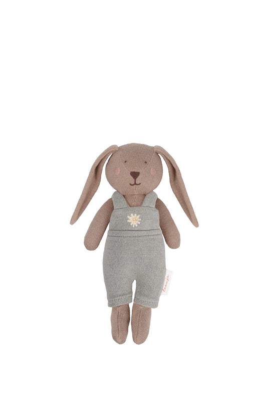 Schlappohr Hase | grün