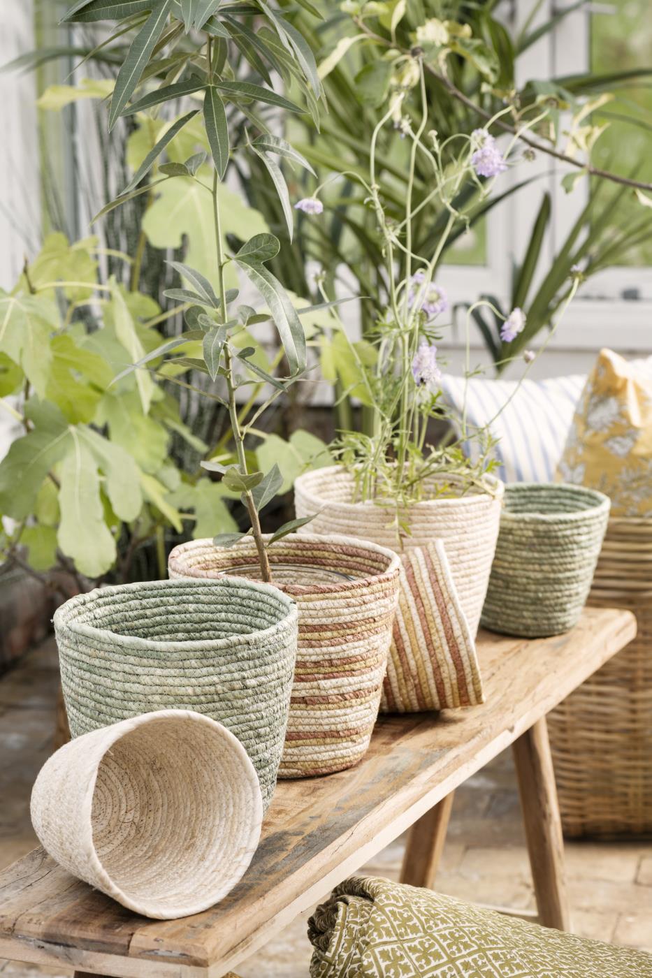 Blumentopf/Korb creme