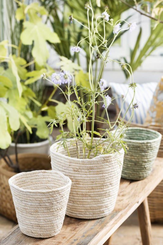Blumentopf/Korb creme