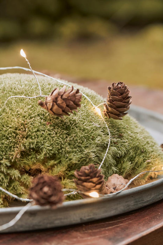 Lichterkette mit 10 LED-Lichtern | für den Innenraum